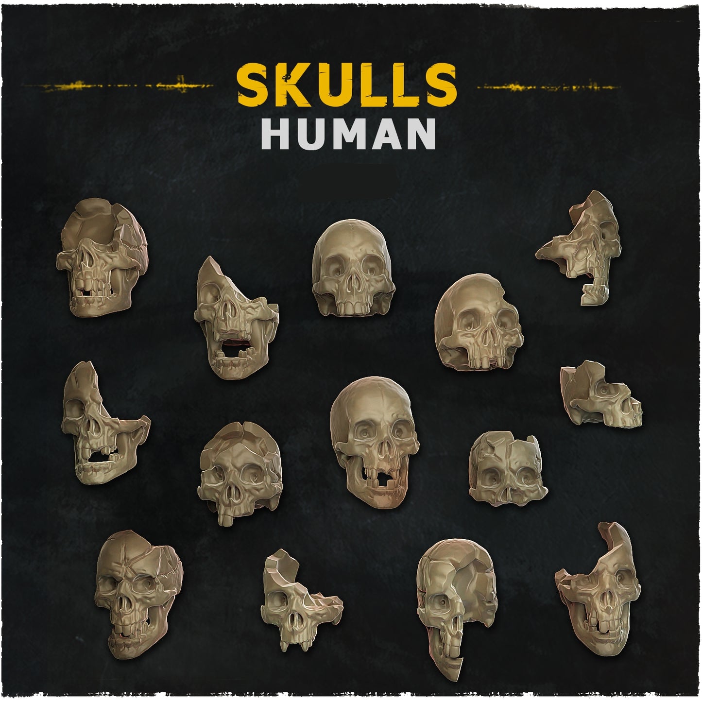 Human Skull Basing Bits