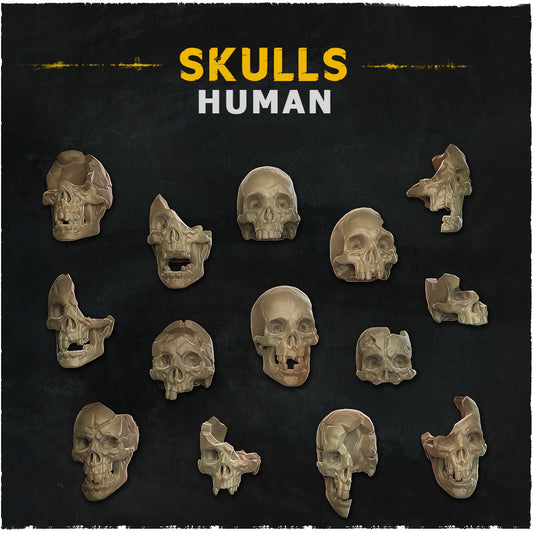 Human Skull Basing Bits